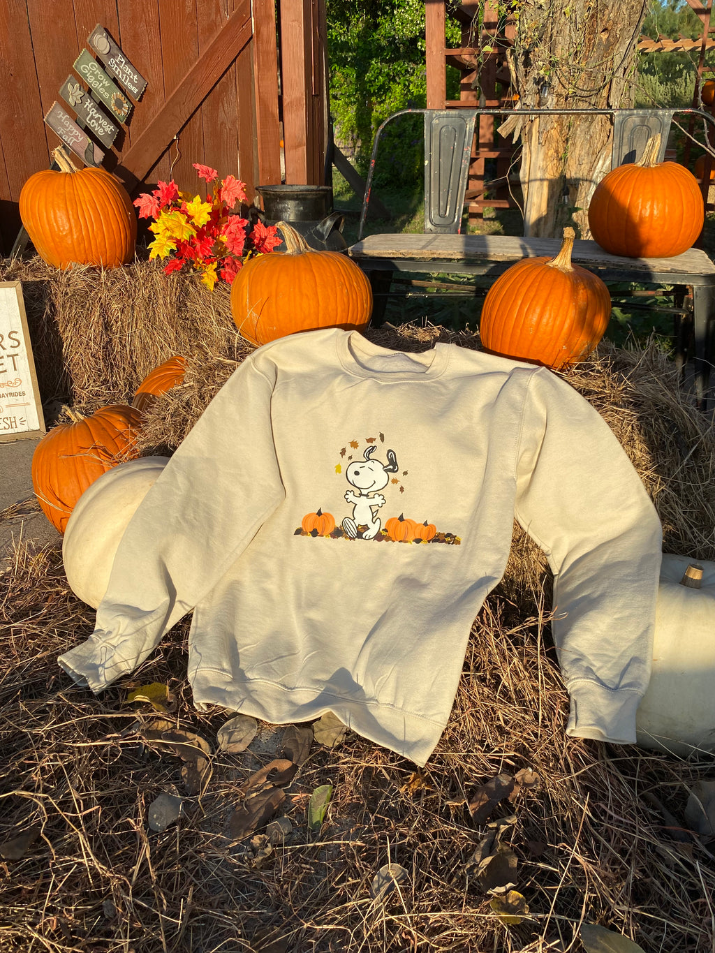 Snoopy fall sweatshirt