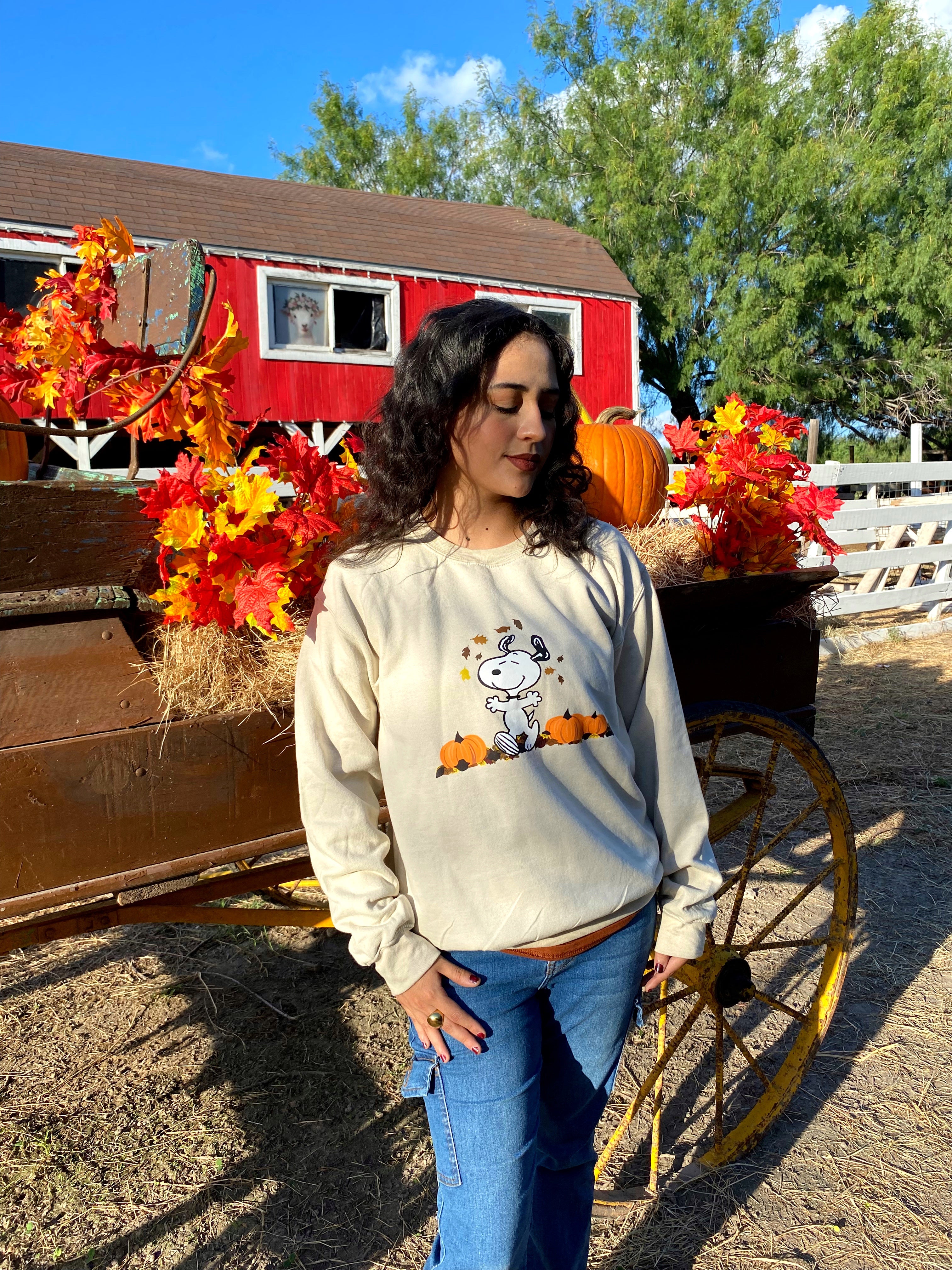 Snoopy fall sweatshirt